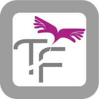 TouchFly logo